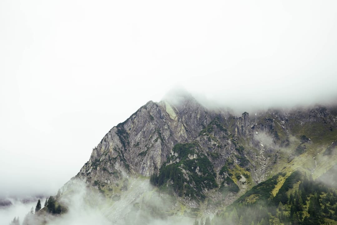https://p5.img.cctvpic.com/photoworkspace/contentimg/2025/08/26/2025082606544530334.jpg